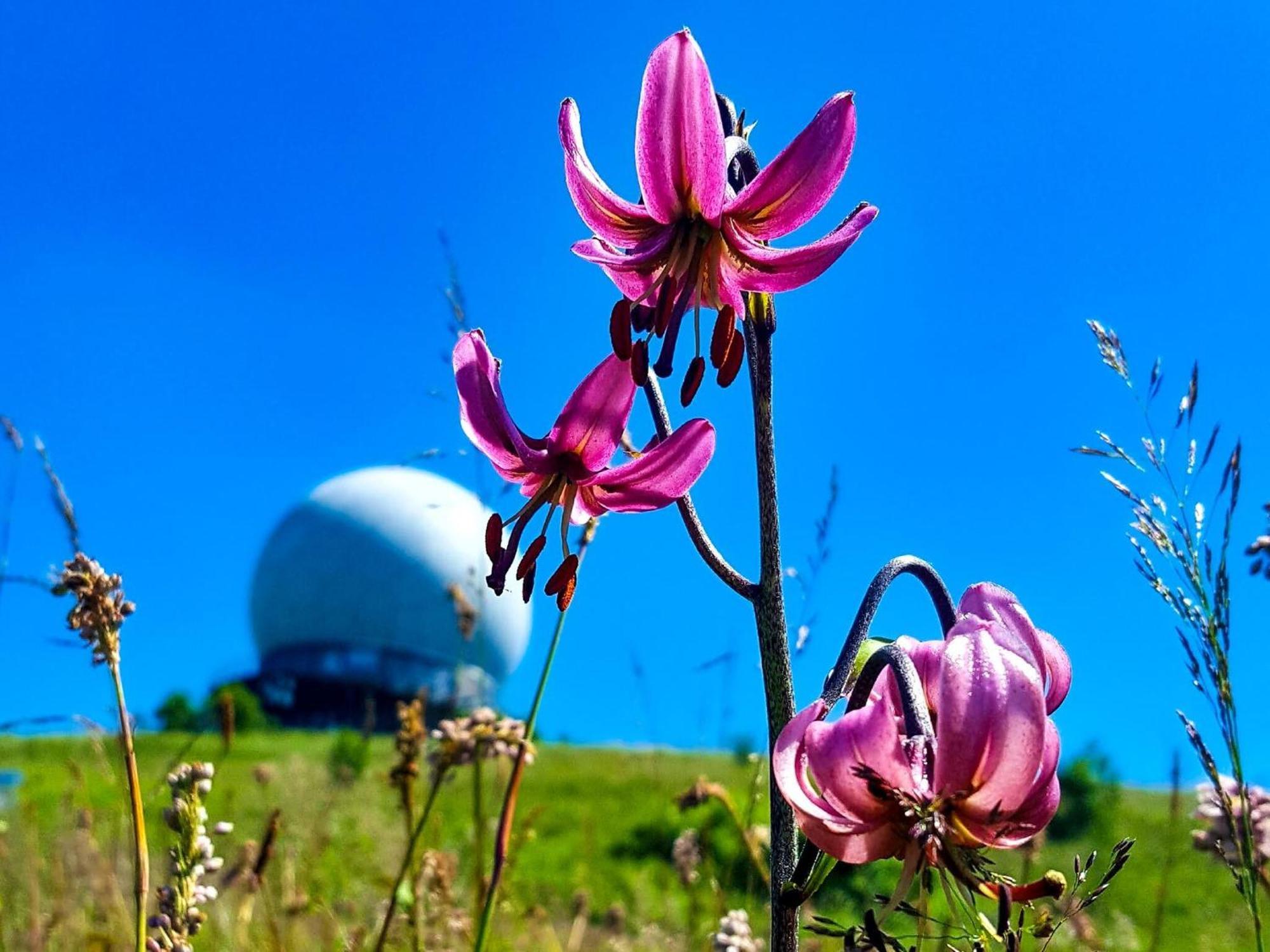 Peterchens Mondfahrt - Wasserkuppe Gersfeld Ngoại thất bức ảnh